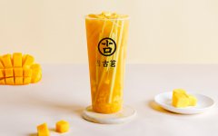 開古茗奶茶店多少錢-2023年收費(fèi)標(biāo)準(zhǔn)真的很接地氣